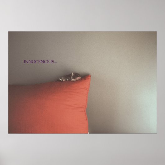 Kitten in Frieden Poster (Vorne)