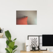 Kitten in Frieden Poster (Heimbüro)