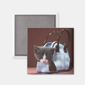 Kitten in Handtasche Magnet (Vorderseite/Rückseite)