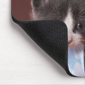 Kitten in Handtasche Mousepad (Ecke)