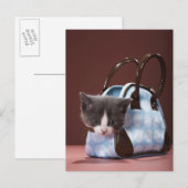 Kitten in Handtasche Postkarte (Vorne/Hinten)