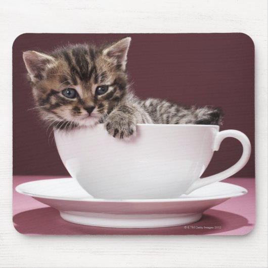 Kitten in Tasse und Untertasse Mousepad (Vorne)