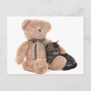 Kitten in the arms of a teddy bear postkarte