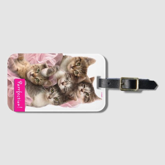 Kitten in Tutus Gepäckanhänger (Vorderseite (Horizontal))