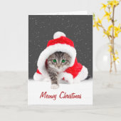 Kitten in Weihnachten Weihnachtsmannmütze und Schn Karte (Gelbe Blume)