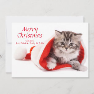 Kitten in Weihnachtsmannmütze Feiertagskarte