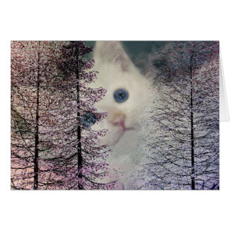 Kitten in Woods
