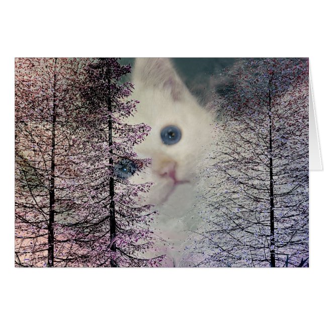 Kitten in Woods (Vorderseite (Horizontal))