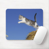 Kitten Jumping 2 Mousepad (Mit Mouse)