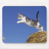Kitten Jumping 2 Mousepad (Vorne)