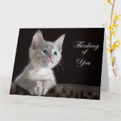 Kitten Karte (Gelbe Blume)