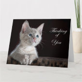 Kitten Karte (Vorderseite)