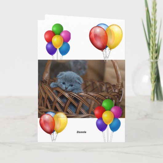 Kitten Karte (Rückseite)