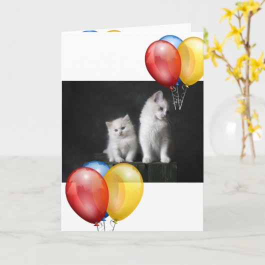 Kitten Karte (Gelbe Blume)