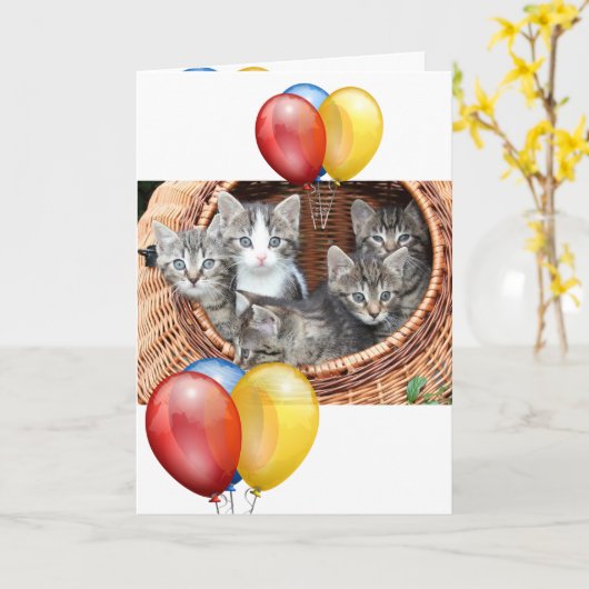 Kitten Karte (Gelbe Blume)