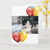 Kitten Karte (Gelbe Blume)