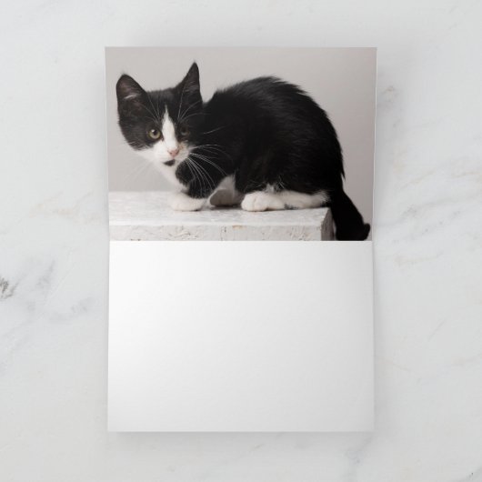 Kitten Karte (Innenseite)