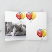 Kitten Karte (Innenseite)