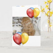 Kitten Karte (Gelbe Blume)