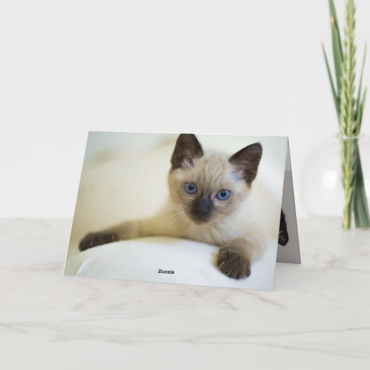 Kitten Karte (Rückseite)