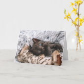 Kitten Karte (Gelbe Blume)