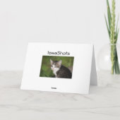 Kitten Karte (Rückseite)