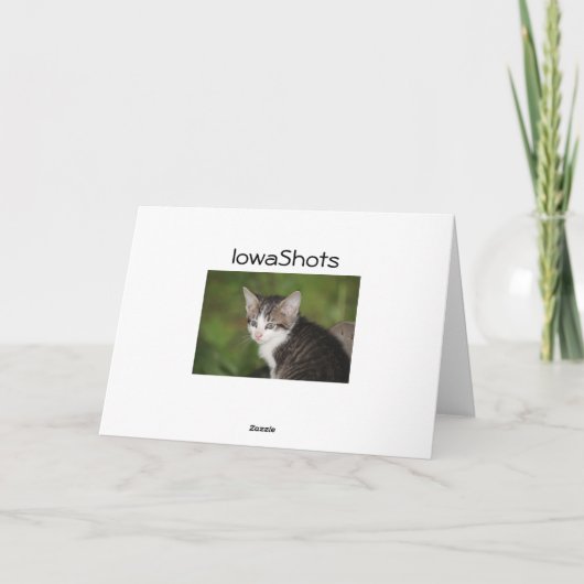 Kitten Karte (Rückseite)