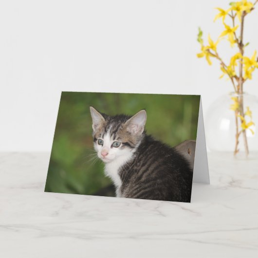 Kitten Karte (Gelbe Blume)