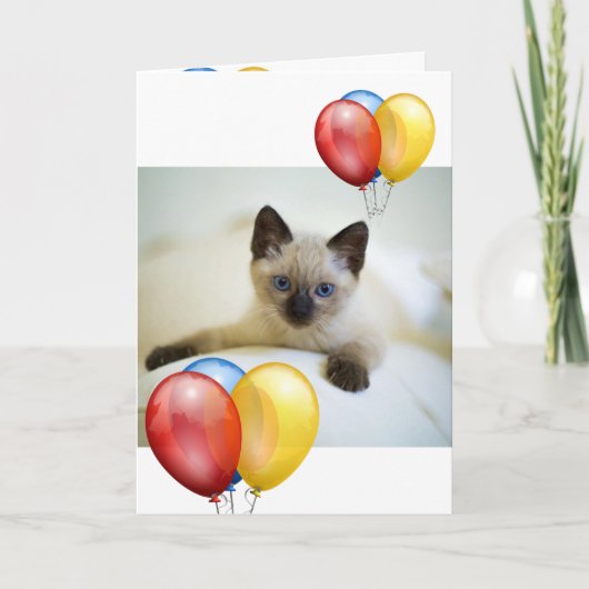 Kitten Karte (Vorderseite)