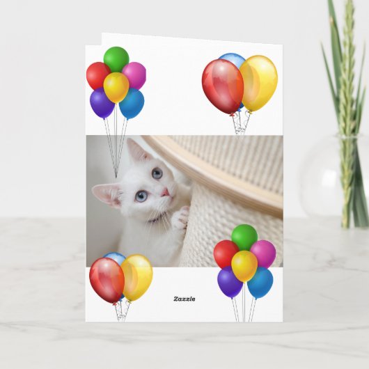 Kitten Karte (Rückseite)