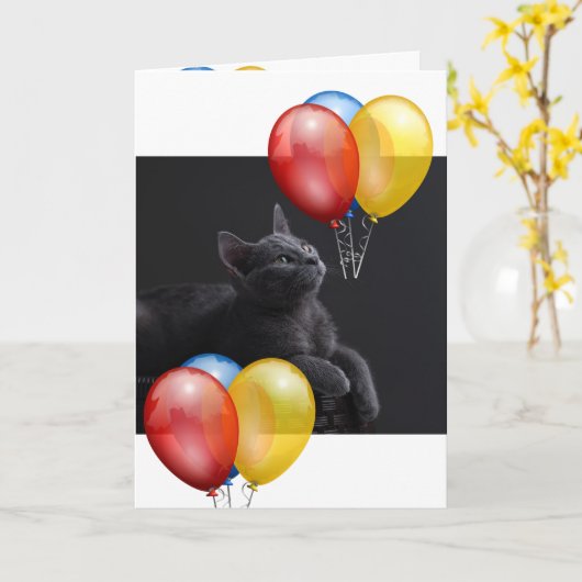 Kitten Karte (Gelbe Blume)