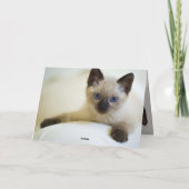 Kitten Karte (Rückseite)