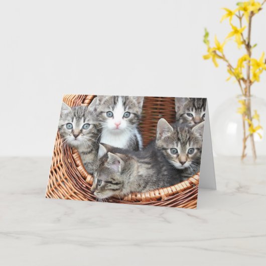 Kitten Karte (Gelbe Blume)