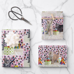 Kitten! (Katzen) Buffington und Patton's Geburtsta Geschenkpapier Set
