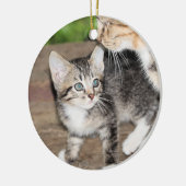 Kitten Keramik Ornament (Links)