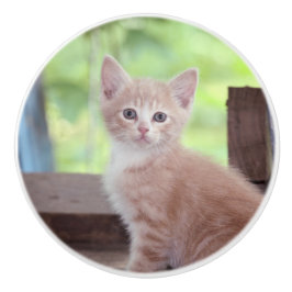 Kitten Keramikknauf