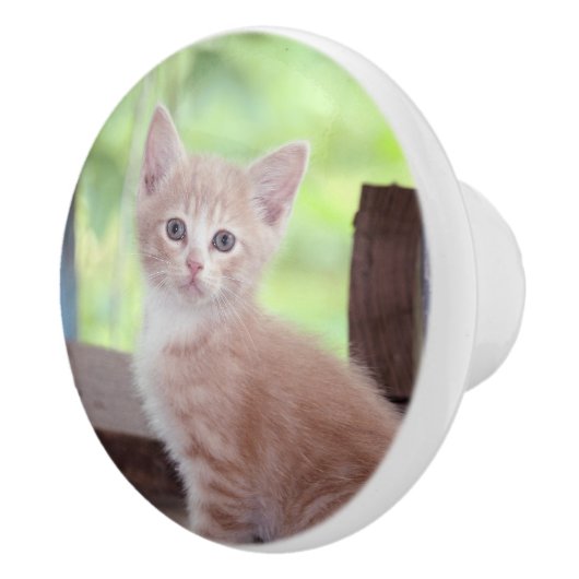 Kitten Keramikknauf (Rechts)