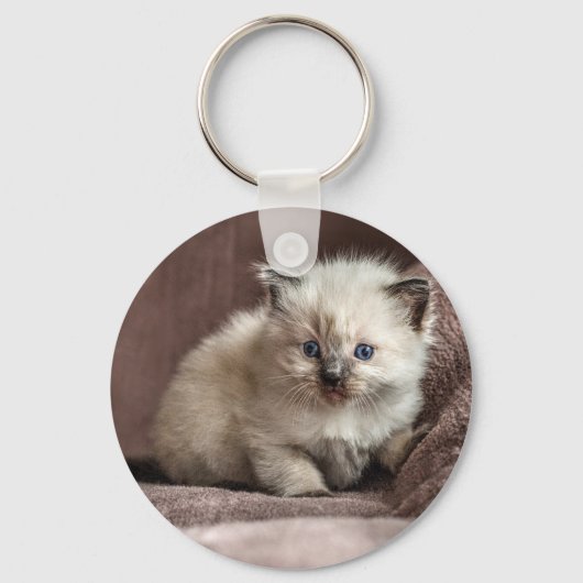 Kitten Keyring Schlüsselanhänger (Vorderseite)