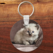 Kitten Keyring Schlüsselanhänger (Vorderseite)