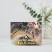 Kitten Kiss Get Well Postkarte (Stehend Vorderseite)