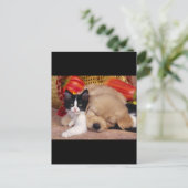 Kitten Kissen Postkarte (Stehend Vorderseite)