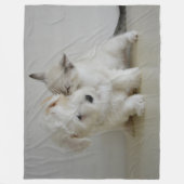 KITTEN KISSING PUPPY FLEECEDECKE (Vorderseite)