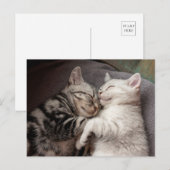 Kitten Kitty Cat Niedlich Spaß Postkarte (Vorne/Hinten)