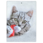 Kitten Klemmbrett (Rückseite)