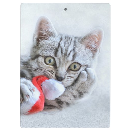 Kitten Klemmbrett (Rückseite)