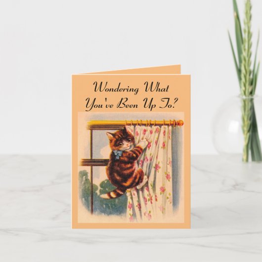 Kitten Klettervorhang Grußkarte Karte (Vorderseite)