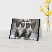 KITTEN KÖNNEN NICHT GLAUBEN, DASS SIE *80* GEBURTS KARTE (Gelbe Blume)