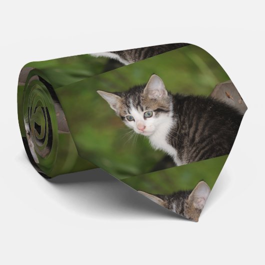 Kitten Krawatte (Gerollt)