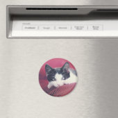 Kitten Kühlschrankmagnet (In Situ (Geschirrspüler))