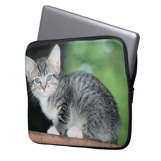 Kitten Laptopschutzhülle (Vorderseite Links)